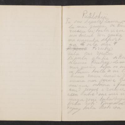 MMIIFME_UAM_NL-75-7_mailopu_diary_brown_25.jpg