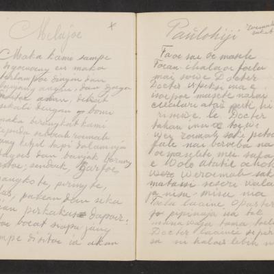 MMIIFME_UAM_NL-75-7_mailopu_diary_brown_34.jpg