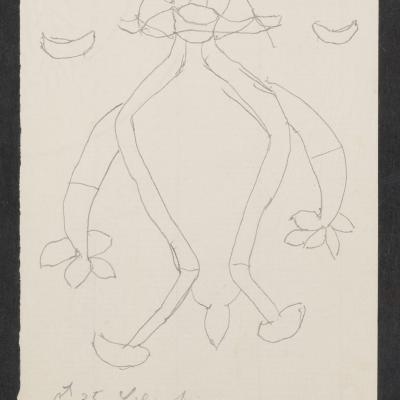 MMIIFME_UAM_NL-75-9_sketches_Misool_12.jpg