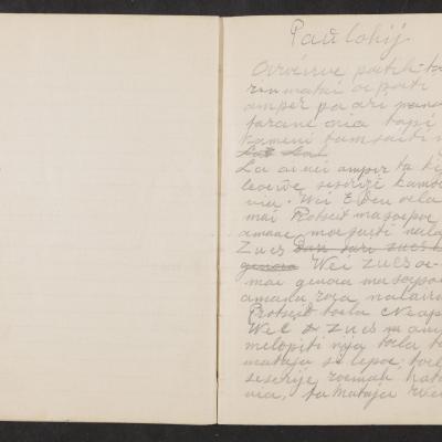 MMIIFME_UAM_NL-75-7_mailopu_diary_brown_21.jpg