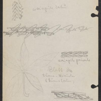 MMIIFME_UAM_NL-75-9_Stresemann_sketches_02.jpg