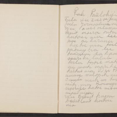 MMIIFME_UAM_NL-75-7_mailopu_diary_brown_23.jpg