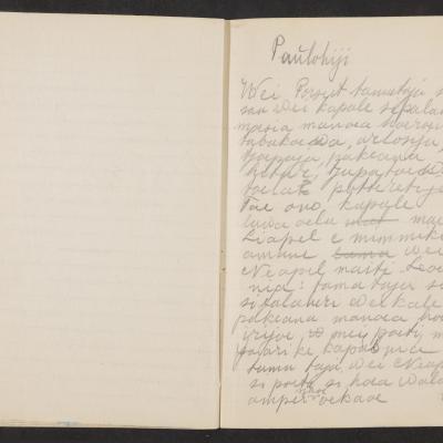 MMIIFME_UAM_NL-75-7_mailopu_diary_brown_24.jpg