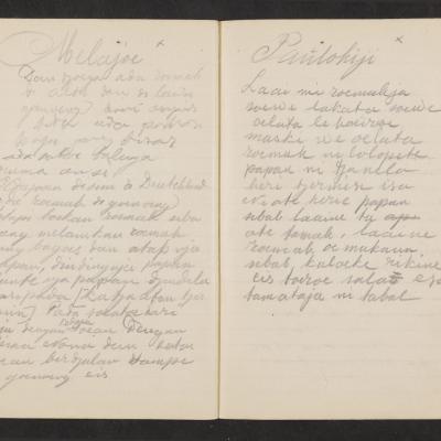 MMIIFME_UAM_NL-75-7_mailopu_diary_brown_33.jpg