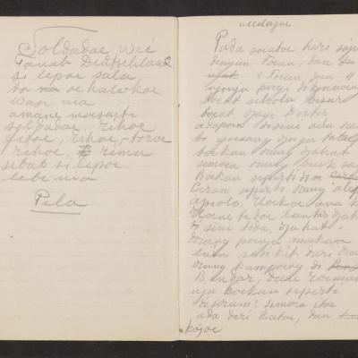 MMIIFME_UAM_NL-75-7_mailopu_diary_brown_29.jpg