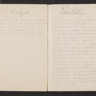 MMIIFME_UAM_NL-75-7_mailopu_diary_brown_39.jpg