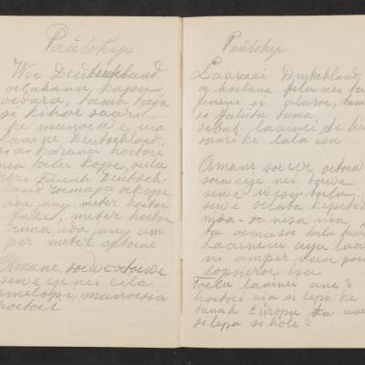 MMIIFME_UAM_NL-75-7_mailopu_diary_brown_28.jpg