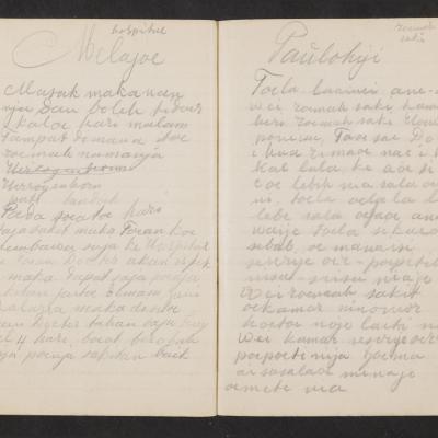 MMIIFME_UAM_NL-75-7_mailopu_diary_brown_35.jpg