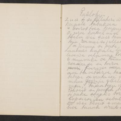 MMIIFME_UAM_NL-75-7_mailopu_diary_brown_22.jpg