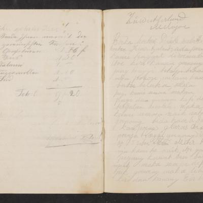 MMIIFME_UAM_NL-75-7_mailopu_diary_brown_47.jpg