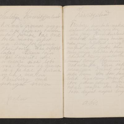 MMIIFME_UAM_NL-75-7_mailopu_diary_brown_49.jpg