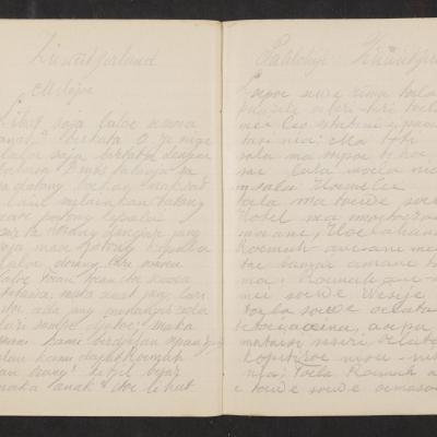 MMIIFME_UAM_NL-75-7_mailopu_diary_brown_44.jpg